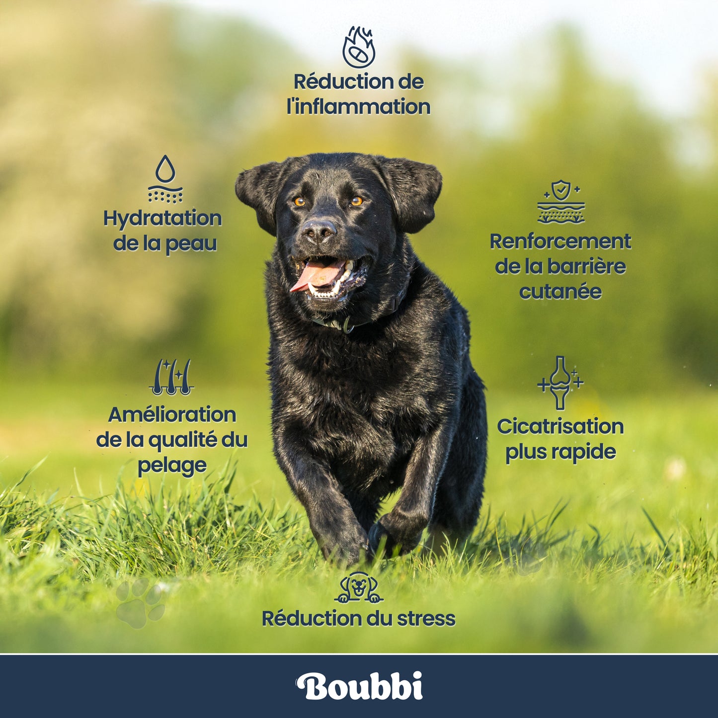 Complément Anti-Démangeaisons