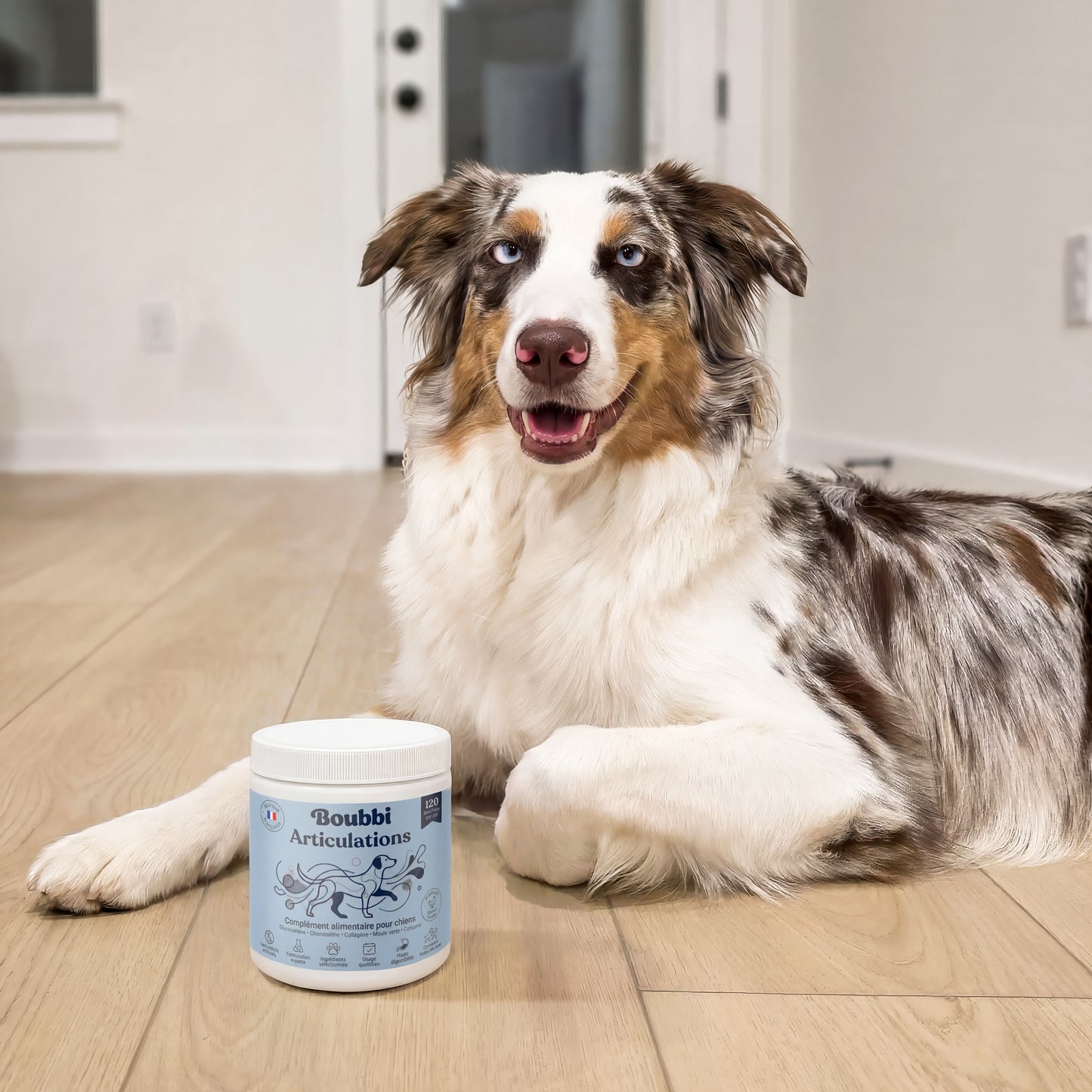 Articulations et mobilité