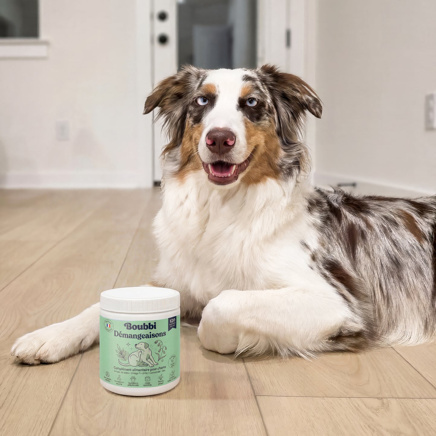 Complément Anti-Démangeaisons