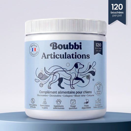 Articulations et mobilité